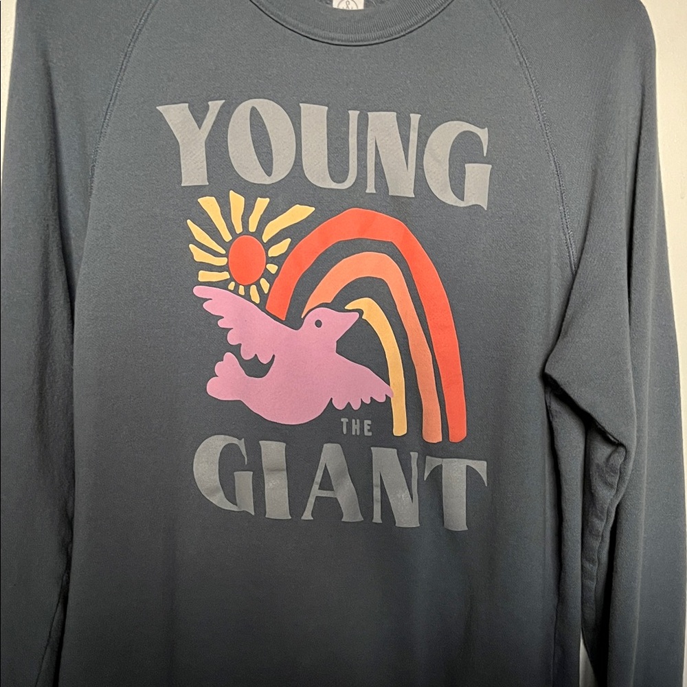 Young the Giant Sweatshirt - Gray
